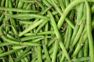 Beans 
